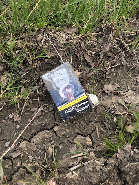 smoking reduces fertility